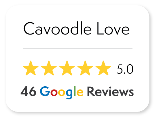 Google Reviews